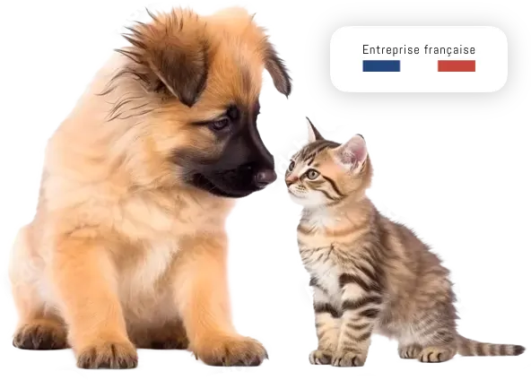 Nutri Chien et Chat : Aliments et accessoires